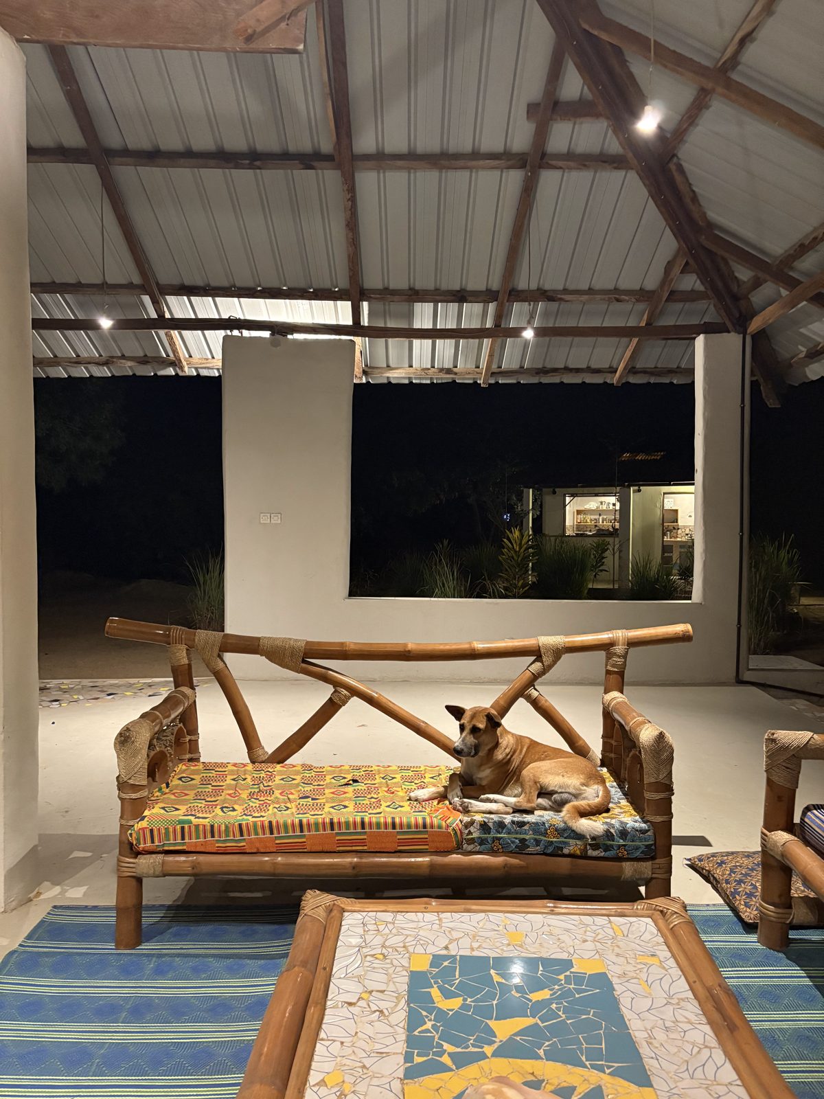 A dog resting on a bamboo sofa in the school hall with the mosaic table in the foreground